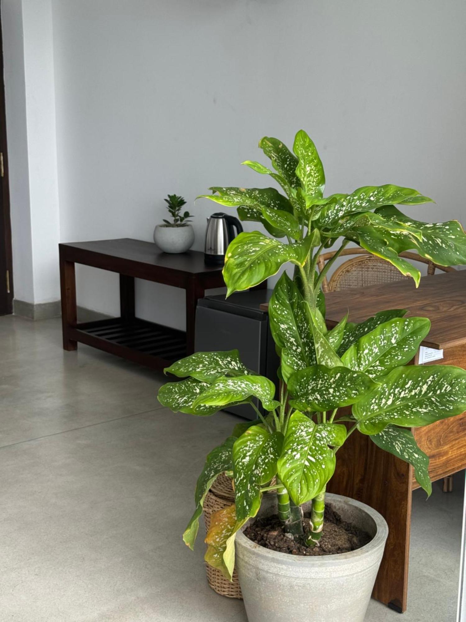 Sapiens Home - Weligama Bay Exterior photo