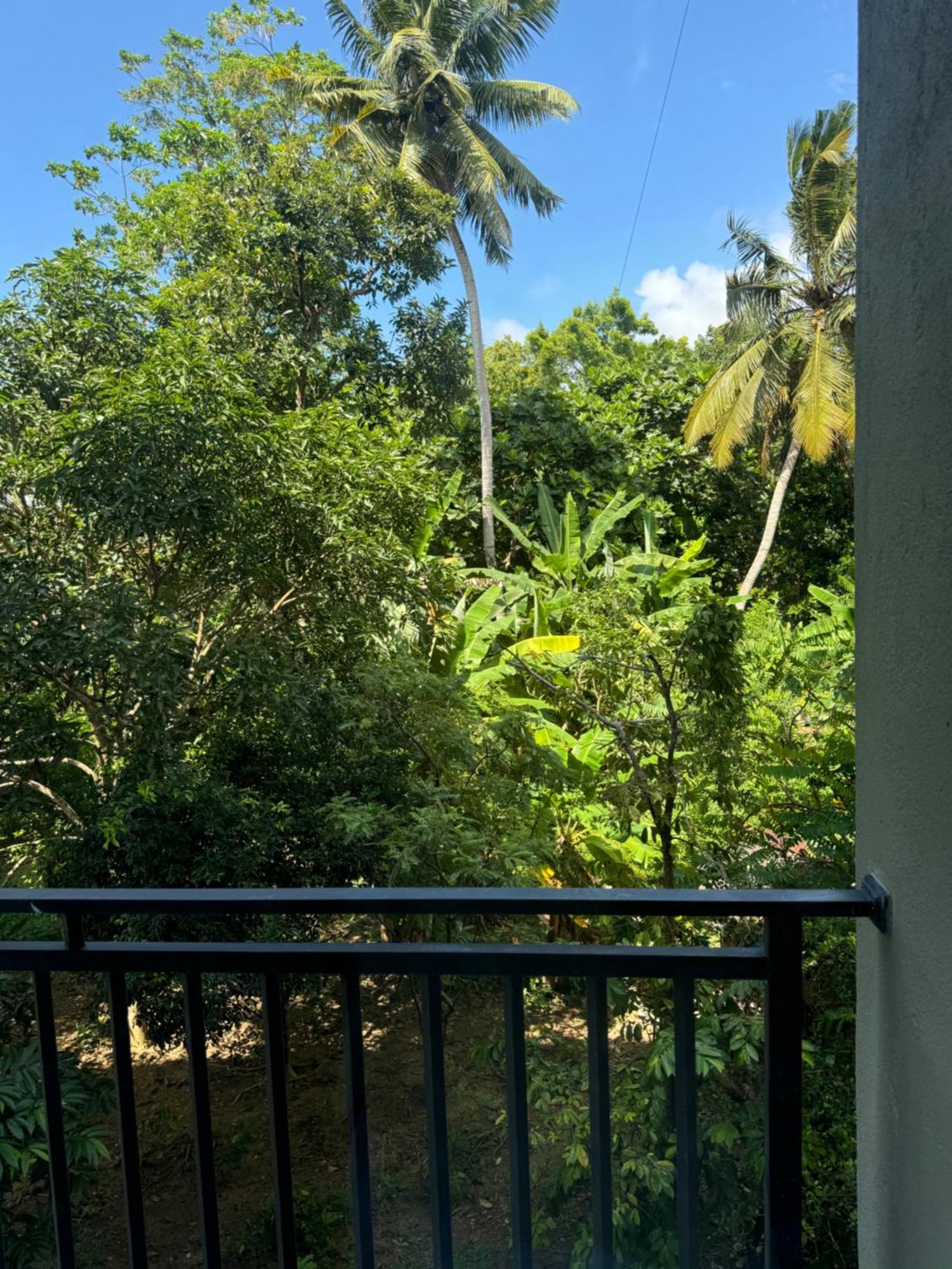 Sapiens Home - Weligama Bay Exterior photo